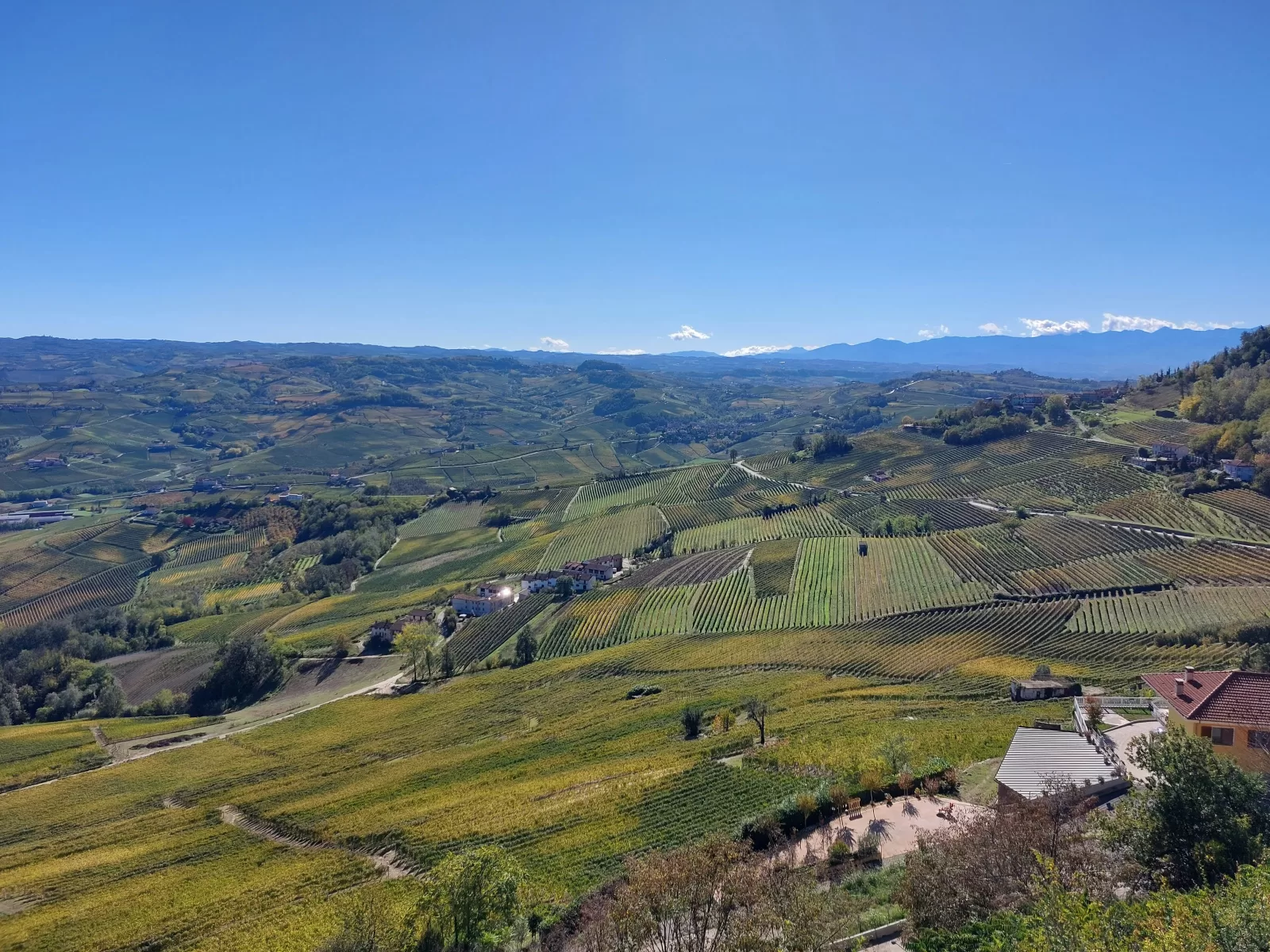 Langhe vynuogynai prie Monforte d'Alba, maždaug 1 valanda 15 minučių kelio automobiliu nuo Turino oro uosto