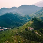 The Prosecco hills of Valdobbiadene, about 50 minutes by car from Treviso Airport